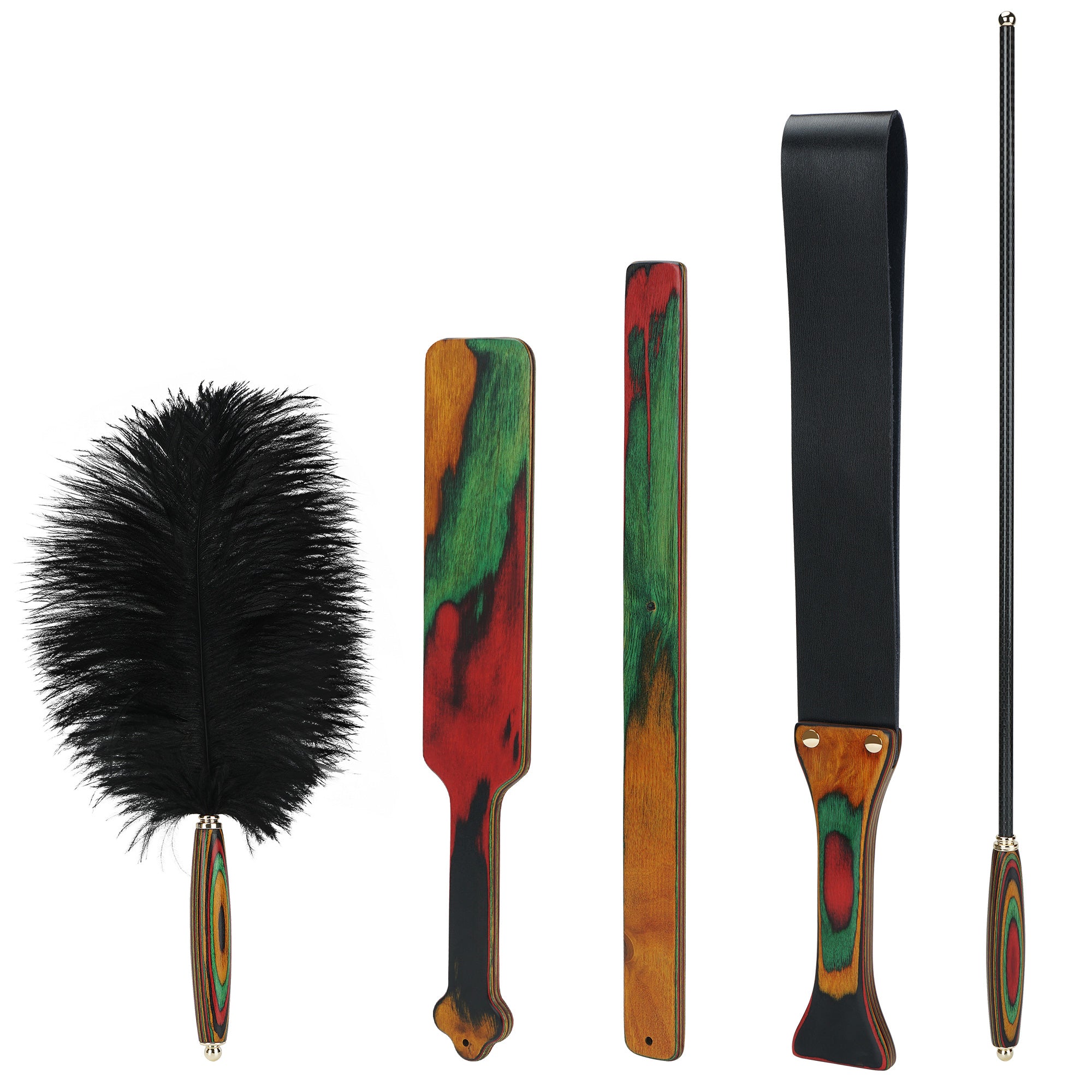 BDSM Scarlet Macaw Rainforest Bundle