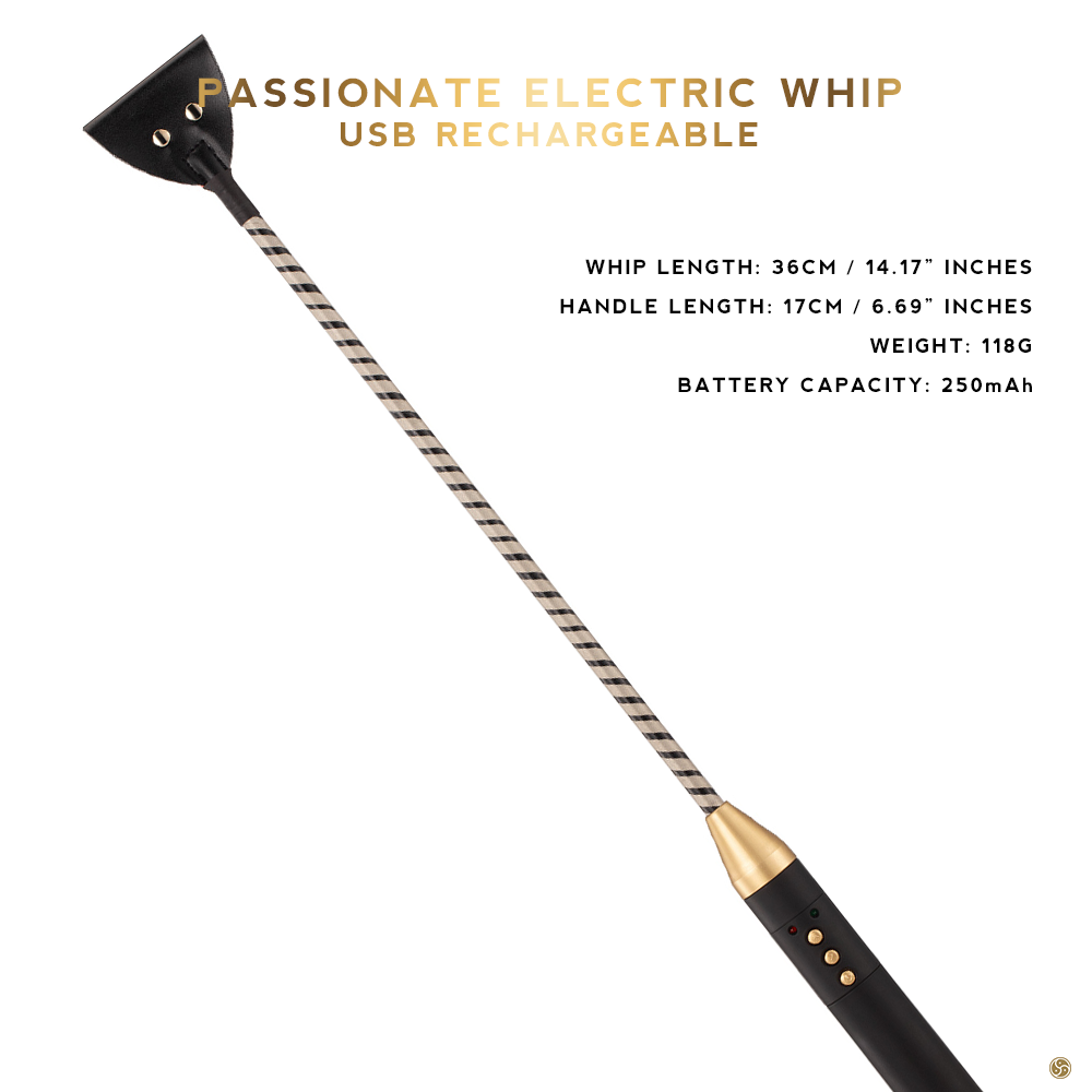 Electric Cane Electroplay