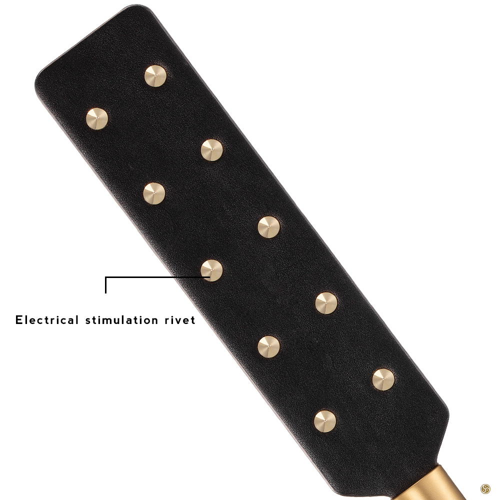 Electric Paddle Electroplay
