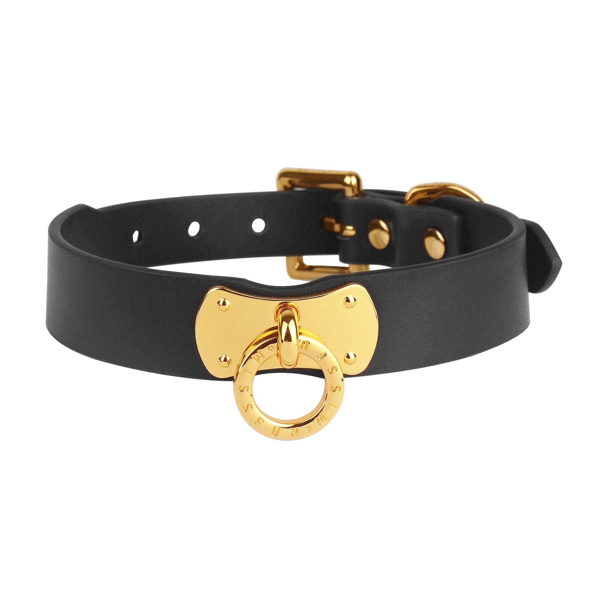 Luxury Full-Grain Leather Collar and Leash with Metallic Chain