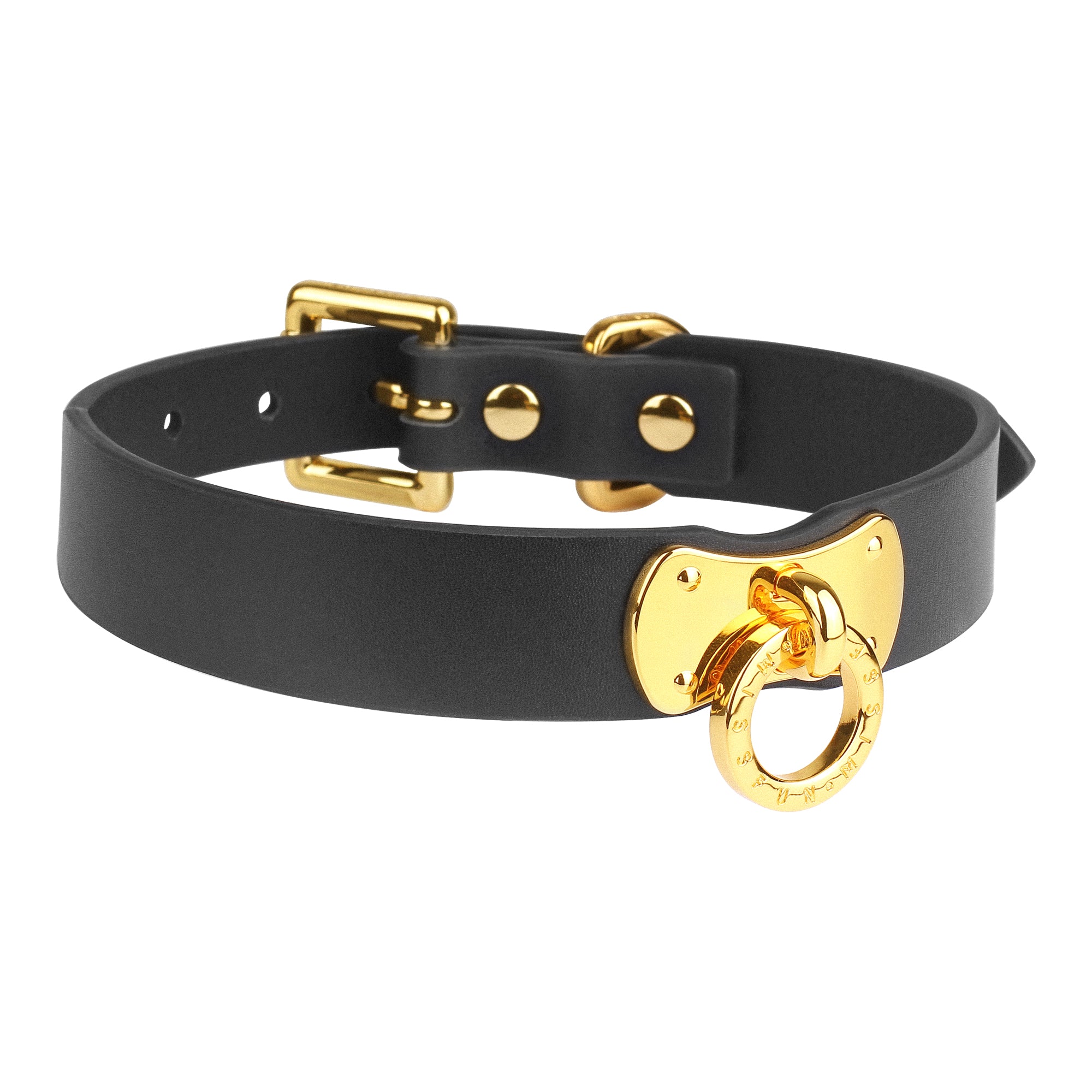 Luxury Full-Grain Leather Collar and Leash with Metallic Chain