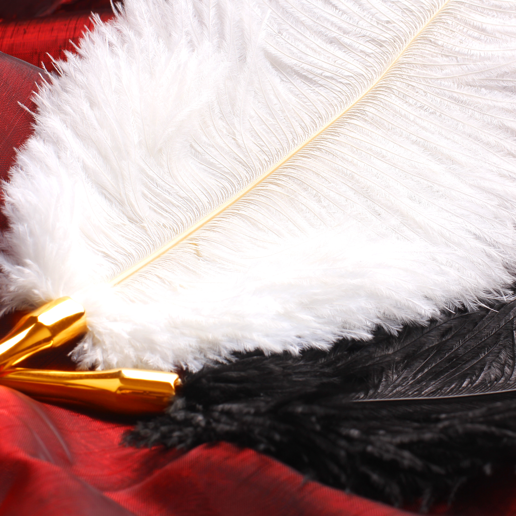 Luxury Ostrich Feather Tickler