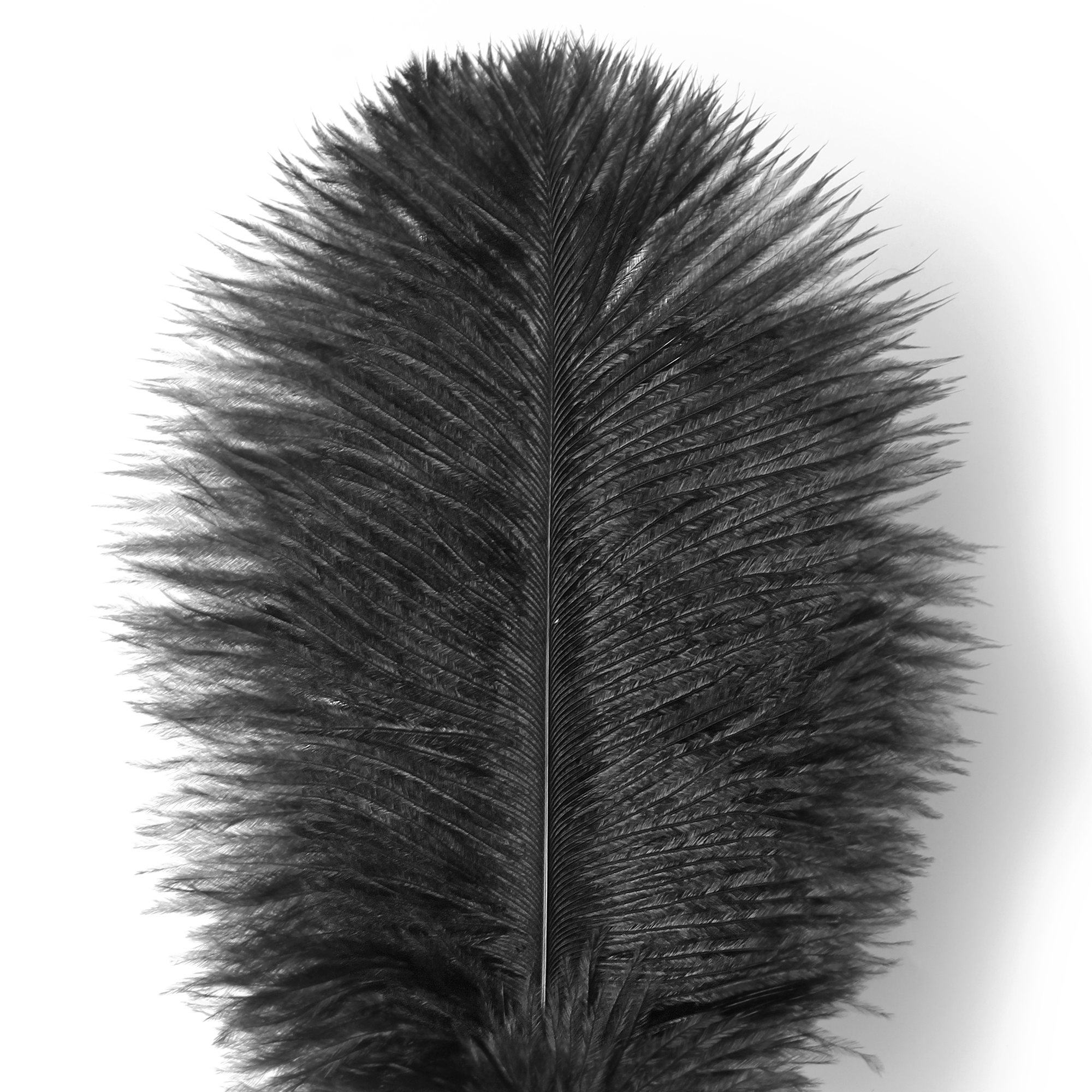 Luxury Ostrich Feather Tickler