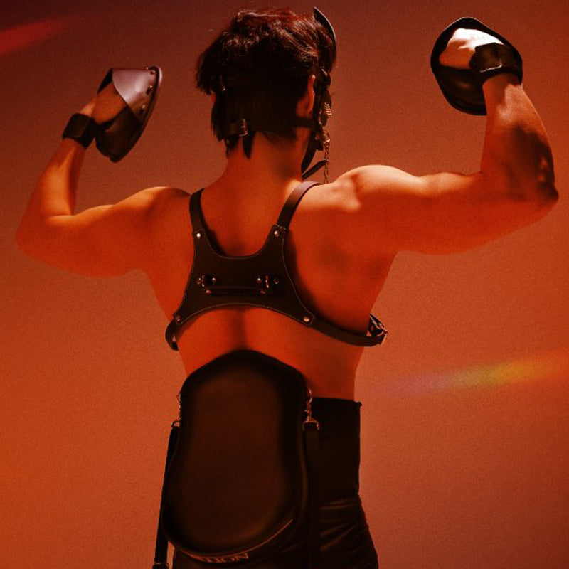 Luxury Stallion Pony Play Set