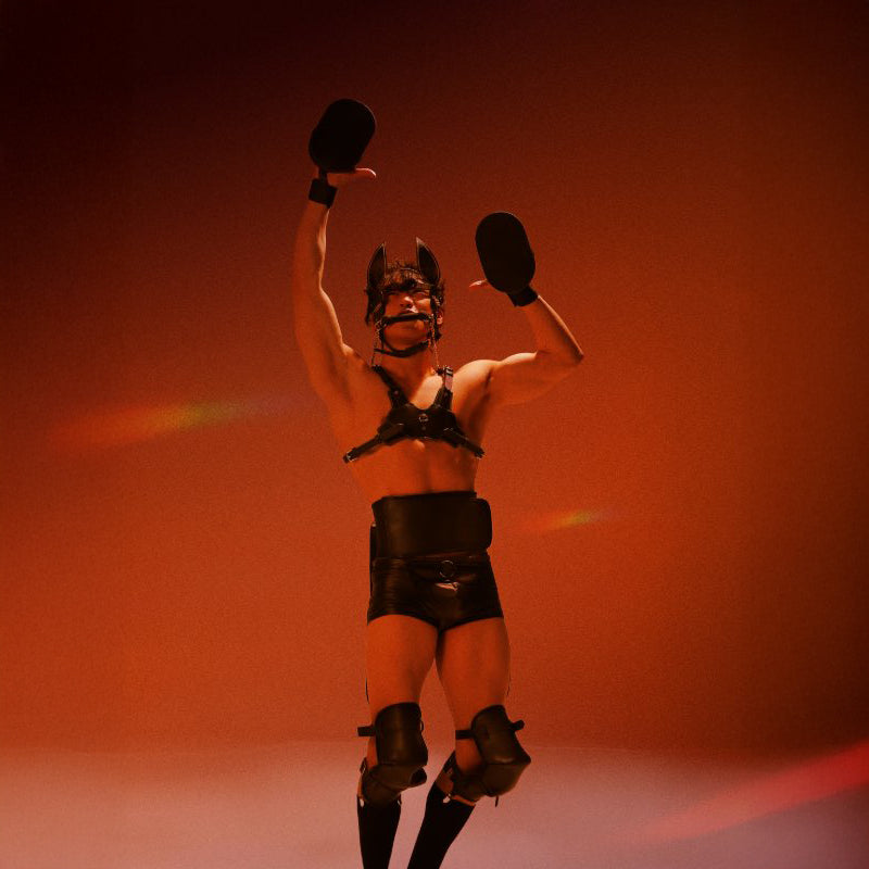 Luxury Stallion Pony Play Set