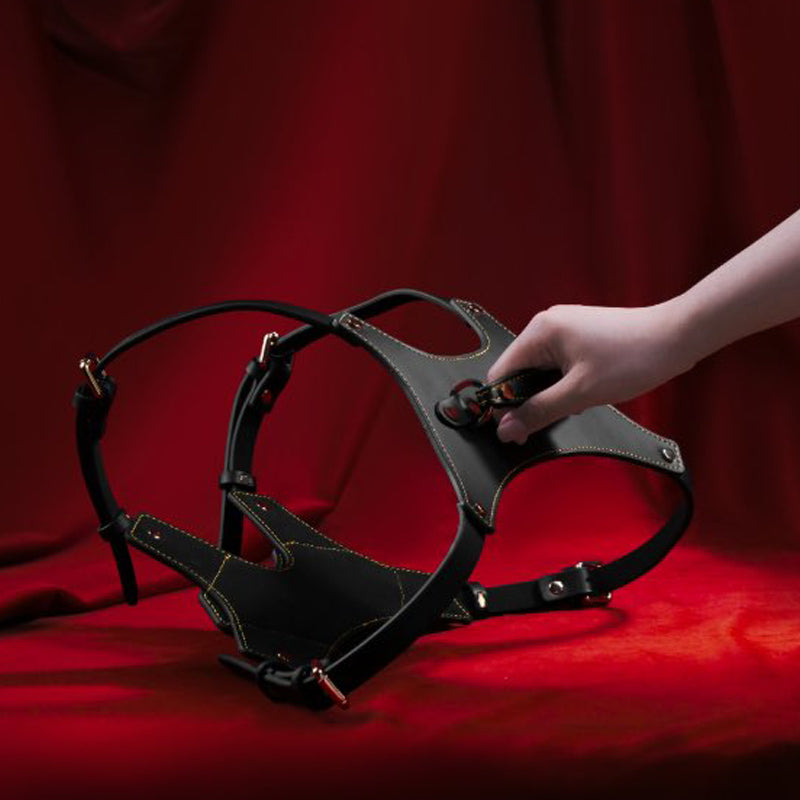 Luxury Stallion Pony Play Set