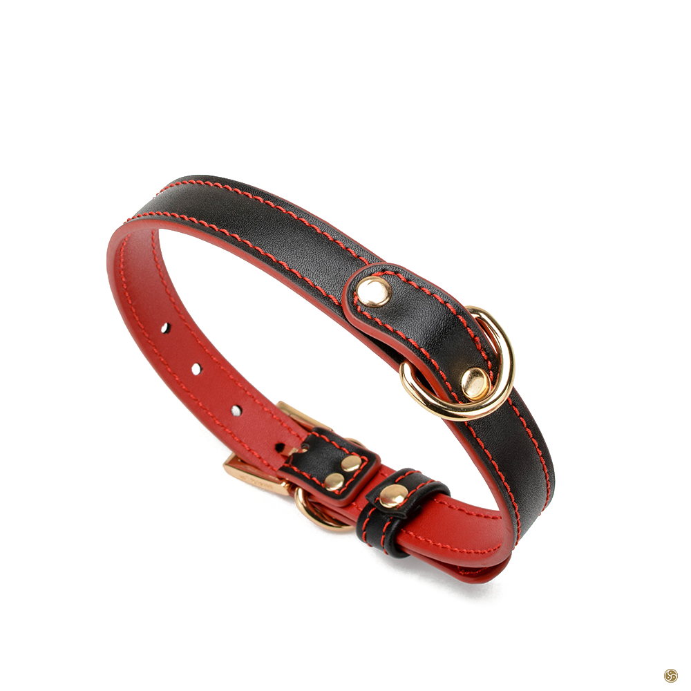BDSM Premium K9 Submissive Collar with Leash