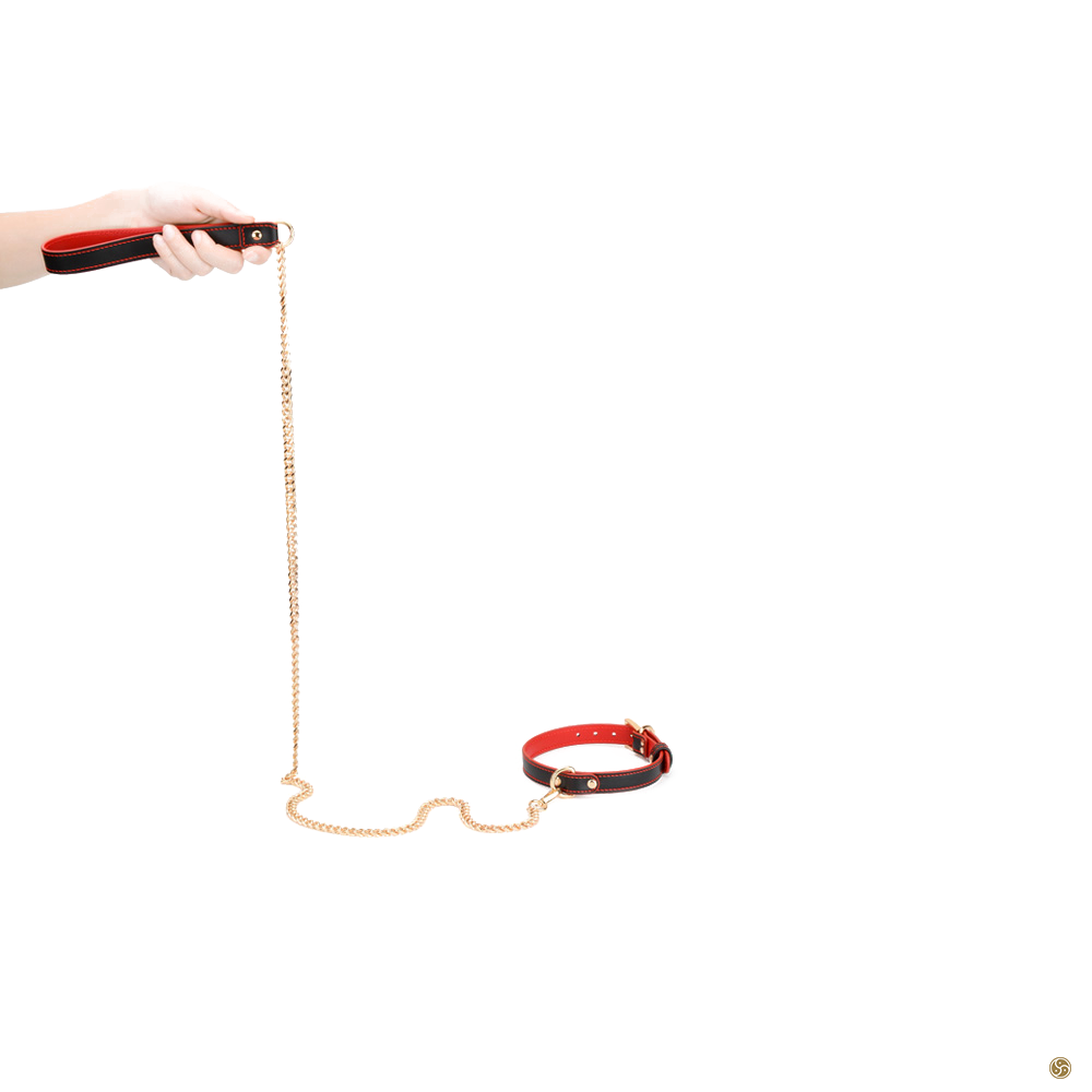 BDSM Premium K9 Submissive Collar with Leash