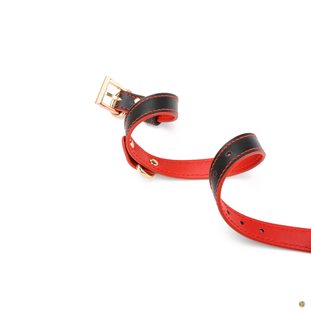 BDSM Premium K9 Submissive Collar with Leash