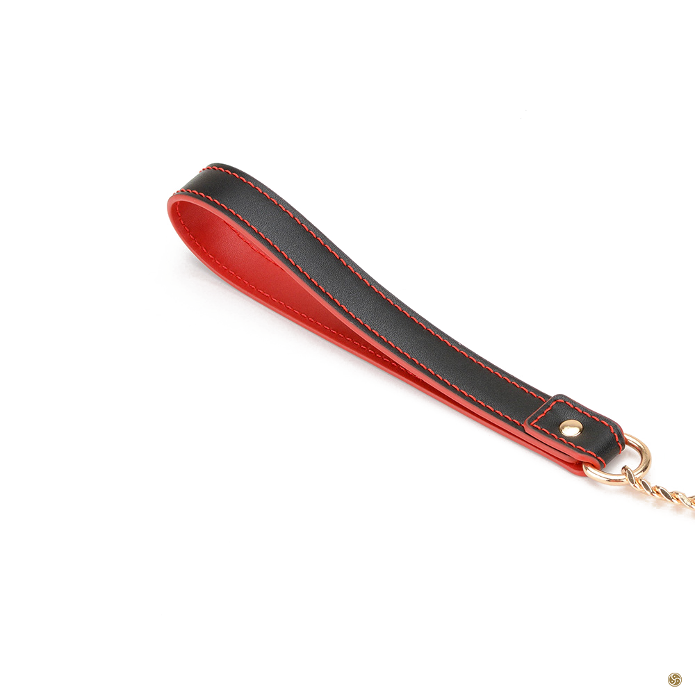 BDSM Premium K9 Submissive Collar with Leash
