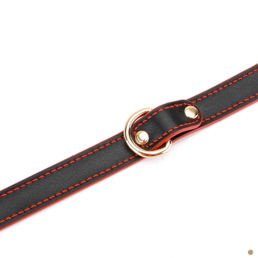 BDSM Premium K9 Submissive Collar with Leash
