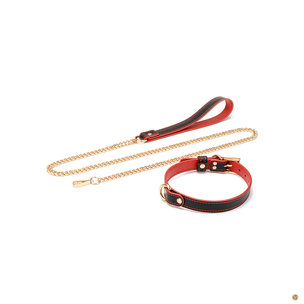 BDSM Premium K9 Submissive Collar with Leash