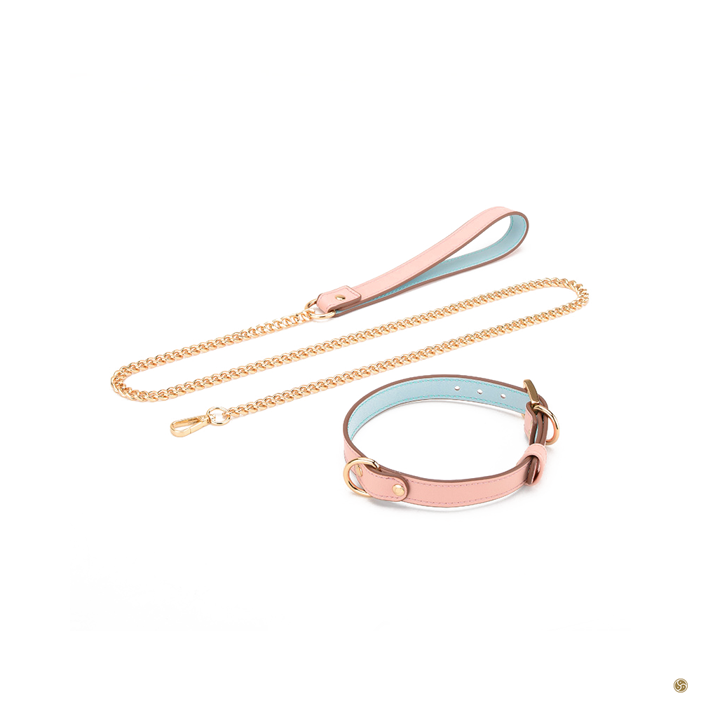 BDSM Premium K9 Submissive Collar with Leash