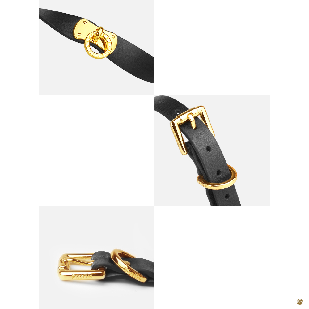 MissFun Luxury Leather Collar with Leash