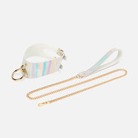 Aurora Double Buckle Big Ring Collar with Leash