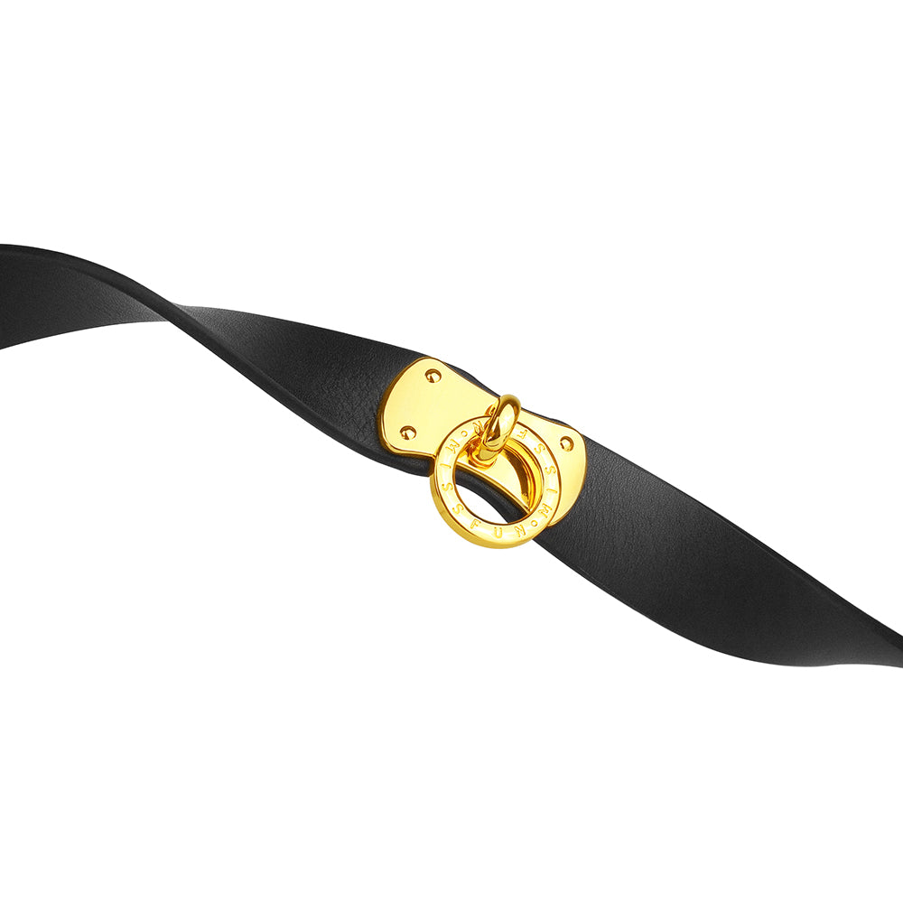 MISSFUN® Luxury Genuine Leather Collar and Leash with Metallic Chain