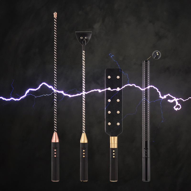 Passionate BDSM Electro Play Series: Whip, Cane, Paddle & Baton USB Rechargeable