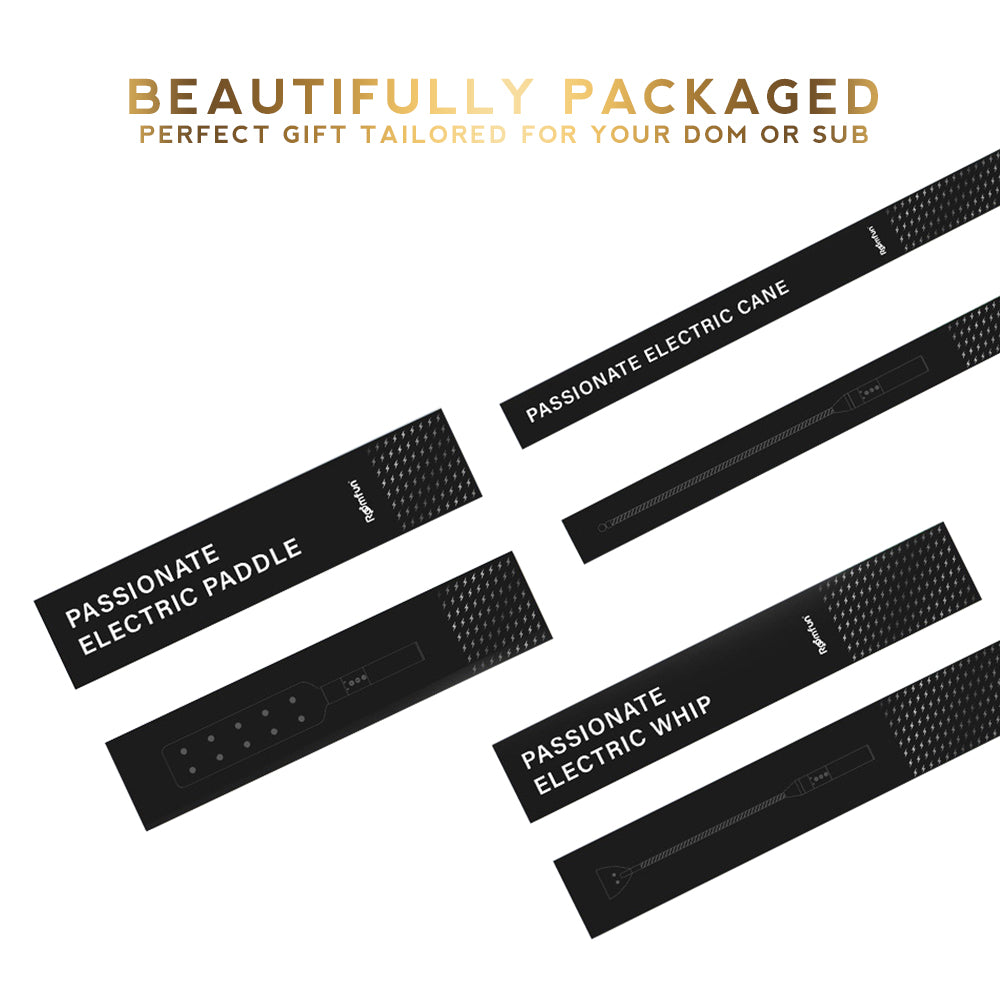 Passionate BDSM Electro Play Series: Whip, Cane, Paddle & Baton USB Rechargeable