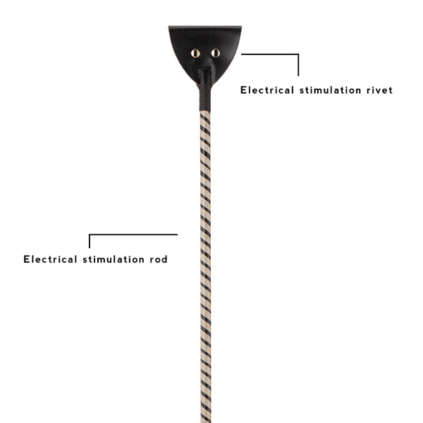 Passionate BDSM Electro Play Series Whip Cane Paddle Baton USB Re passionate-bdsm-electro-play-series-whip-cane-paddle-baton-usb-re