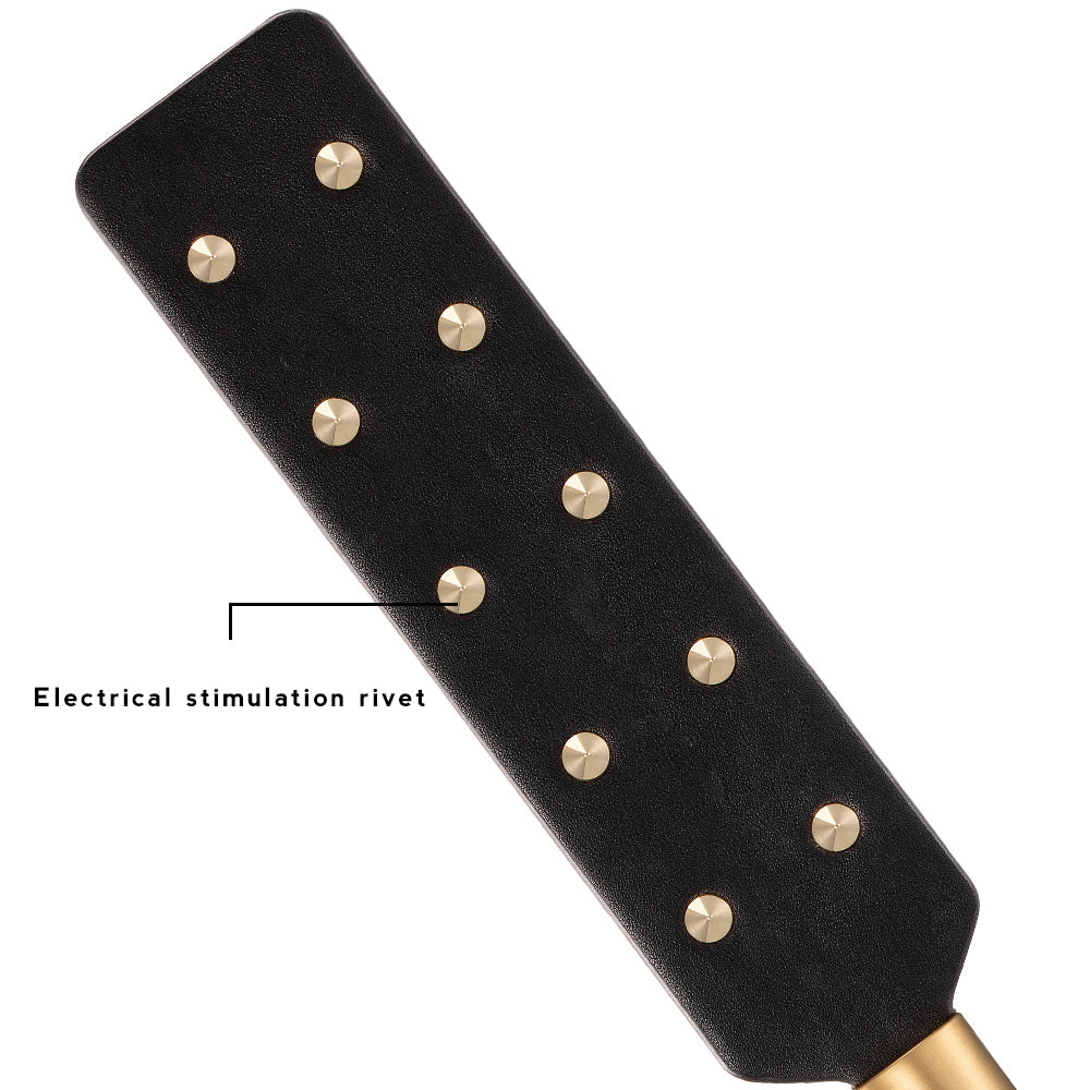 Passionate BDSM Electro Play Series: Whip, Cane, Paddle & Baton USB Rechargeable