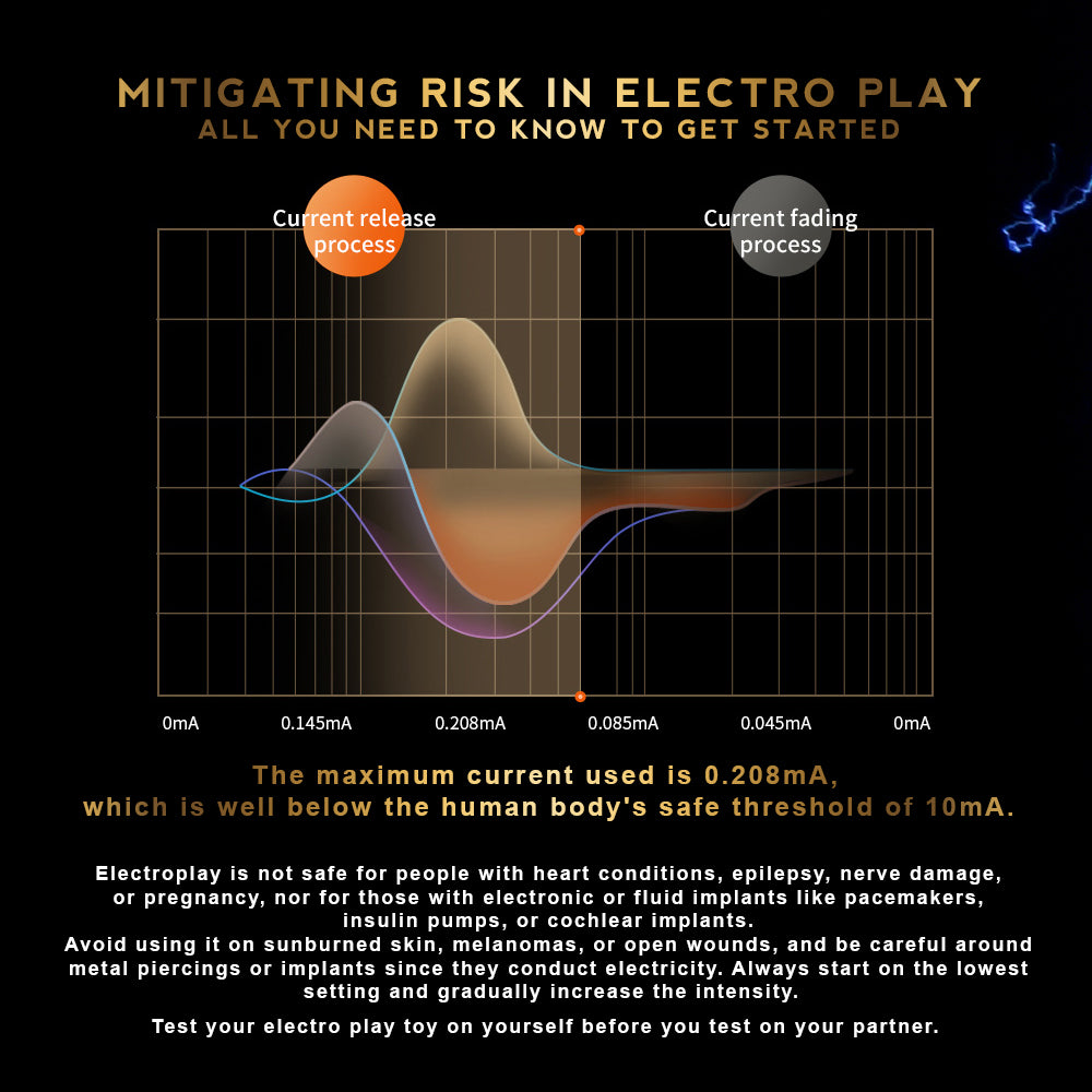 Passionate BDSM Electro Play Series: Whip, Cane, Paddle & Baton USB Rechargeable