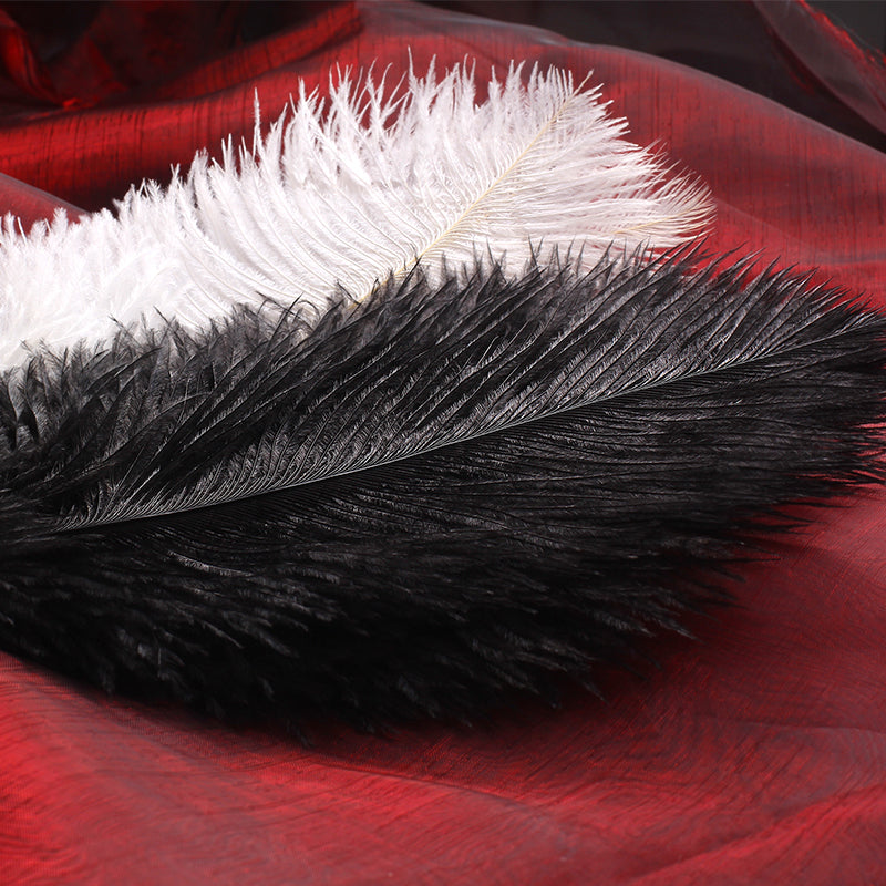 MISSFUN® Luxury Ostrich Feather Tickler with The Pointy End
