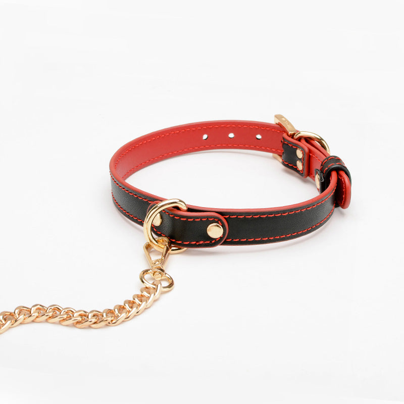 Elegant Vegan Leather BDSM Collar & Chain Leash with Metallic Chain