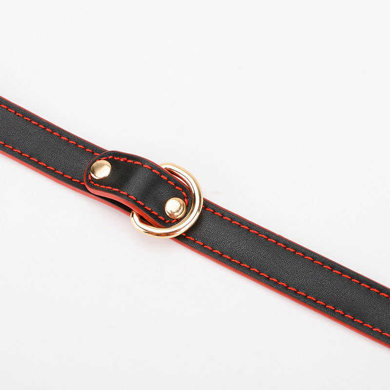 Elegant Vegan Leather BDSM Collar & Chain Leash with Metallic Chain