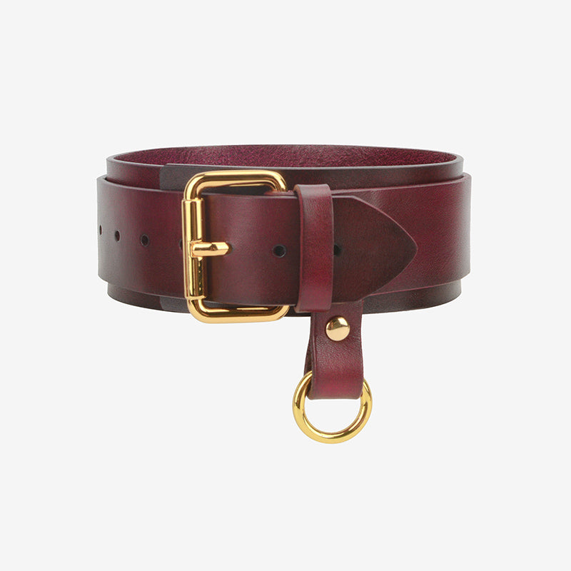 Deluxe Vegan Leather Bondage & Restraint Set Burgundy