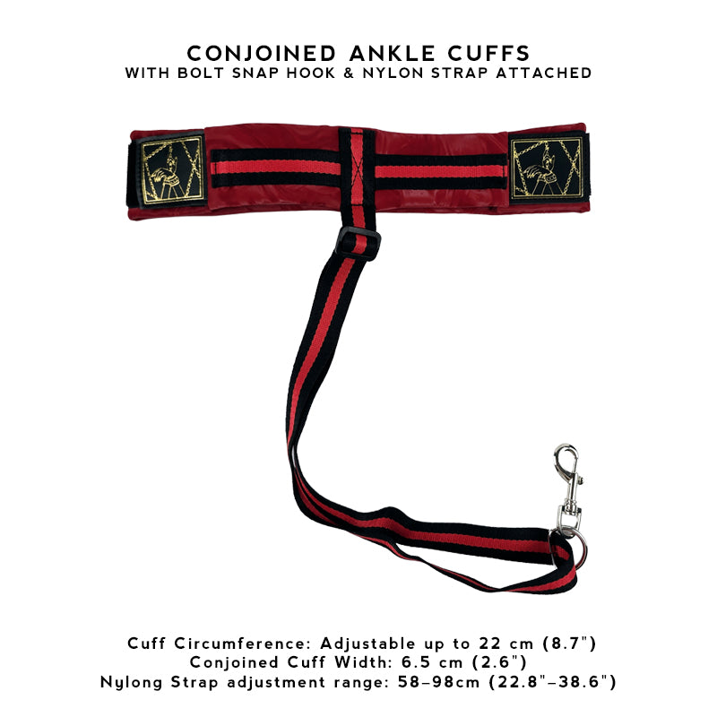 Deluxe Red Passion Behind Back Restraint Kit (5pc)