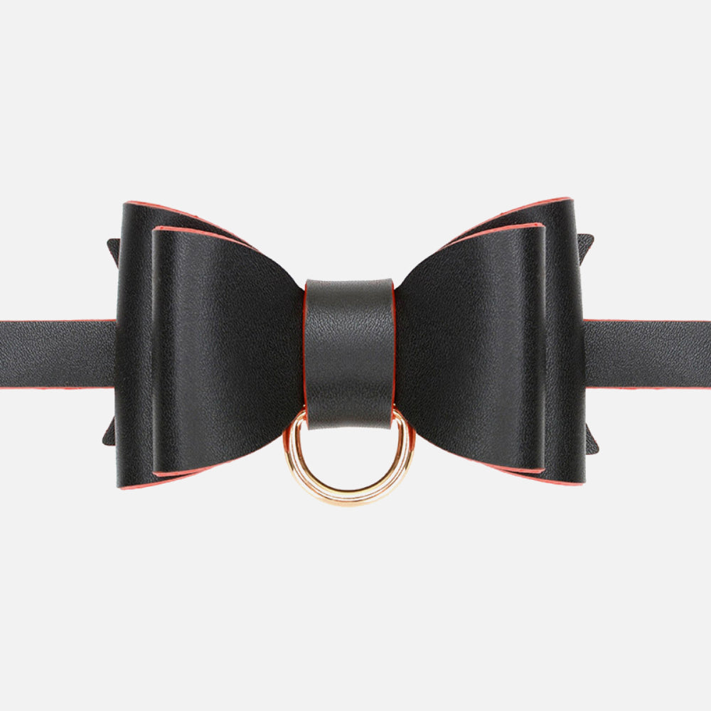 Dicky Bow BDSM Collar with Leash and Metallic Chain