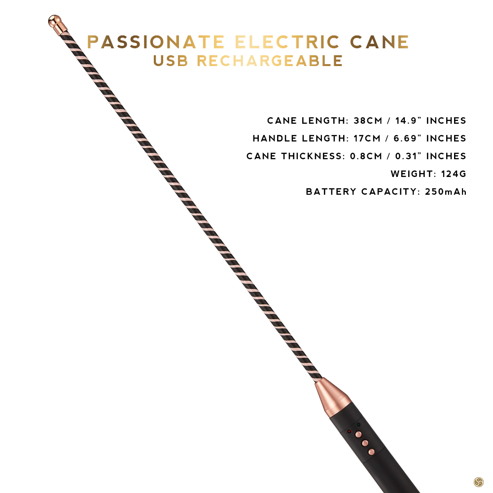 Electric Whip Electroplay