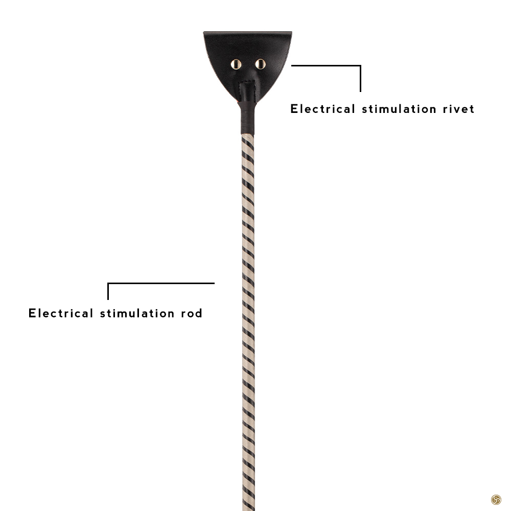 Electric Whip Cane Paddle Baton Electroplay - OZGAGA