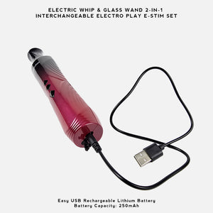 An electric sex toy set featuring a glass wand with a black-to-pink gradient handle and a black silicone whip, shown on a light gray background with text at the top reading 'ELECTRIC WHIP & GLASS WAND 2-IN-1 INTERCHANGEABLE ELECTRO PLAY E-STIM SET'.