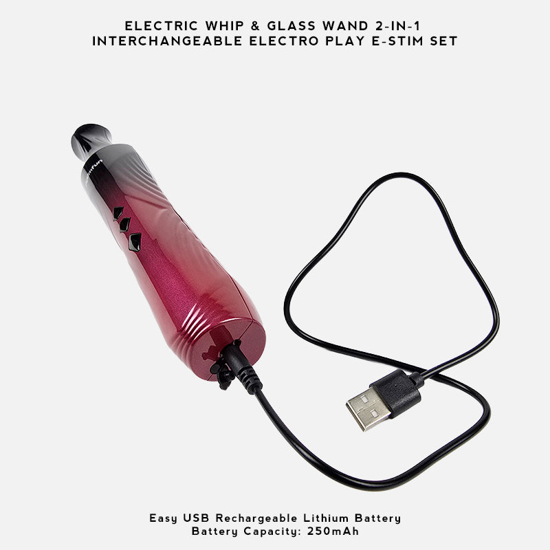 An electric sex toy set featuring a glass wand with a black-to-pink gradient handle and a black silicone whip, shown on a light gray background with text at the top reading 'ELECTRIC WHIP & GLASS WAND 2-IN-1 INTERCHANGEABLE ELECTRO PLAY E-STIM SET'.