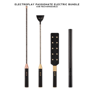 Passionate Electroplay Whip, Cane, Paddle, and Baton, USB Rechargeable, Adjustable Intensity for BDSM Sensation Play.