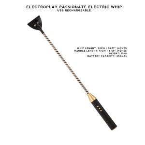 Passionate Electroplay Whip, Cane, Paddle, and Baton, USB Rechargeable, Adjustable Intensity for BDSM Sensation Play.