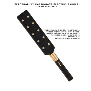 Passionate Electroplay Whip, Cane, Paddle, and Baton, USB Rechargeable, Adjustable Intensity for BDSM Sensation Play.