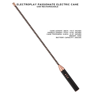 Passionate Electroplay Whip, Cane, Paddle, and Baton, USB Rechargeable, Adjustable Intensity for BDSM Sensation Play.