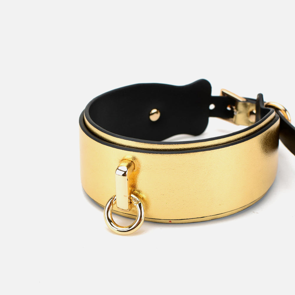 Golden "Kinky Kitten" 6-Piece Bondage Set