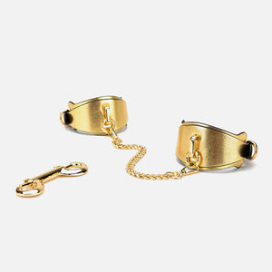 Golden "Kinky Kitten" 6-Piece Bondage Set