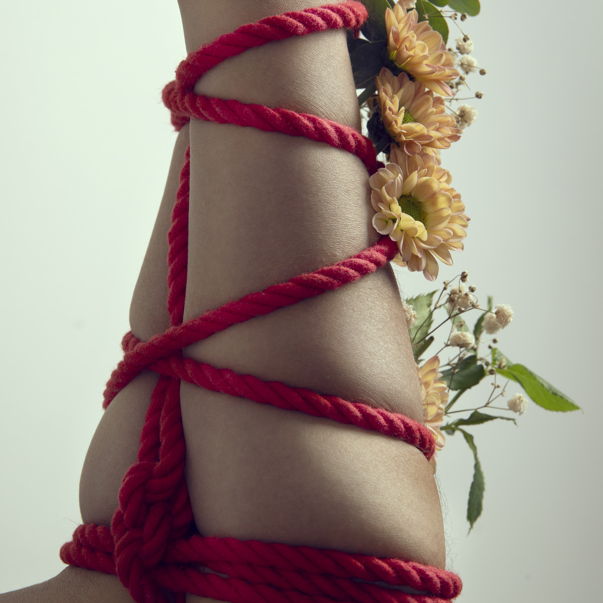 Luxury Shibari Bondage Rope for BDSM Play, Included Safety Shears