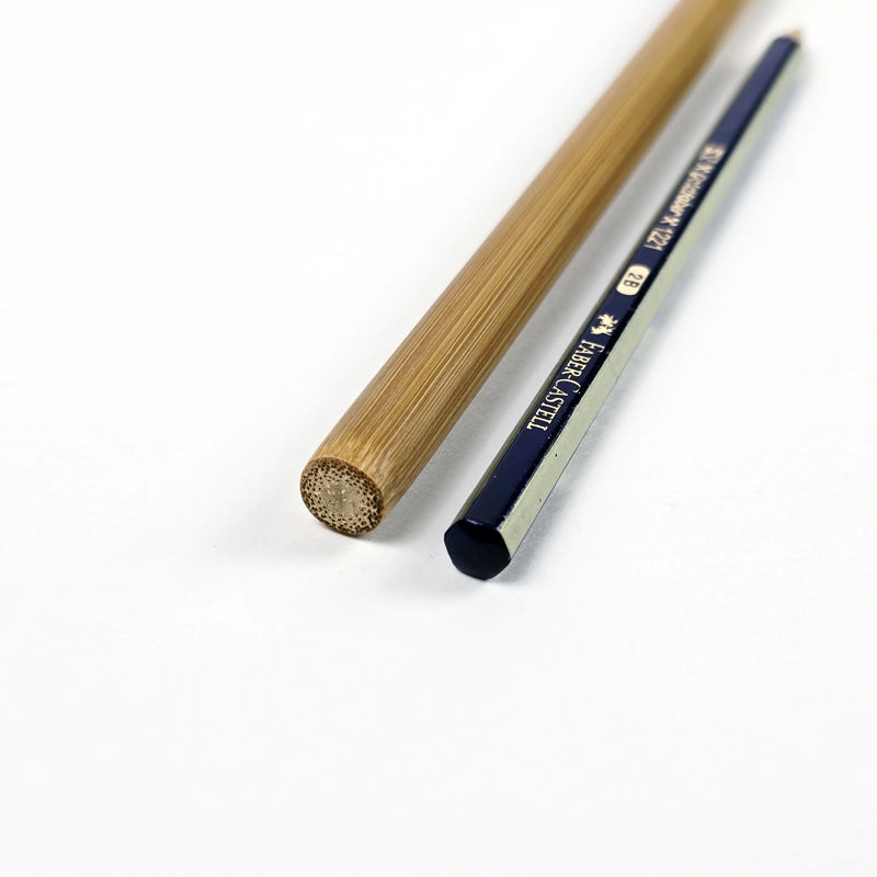 Simple Bamboo Cane 60cm