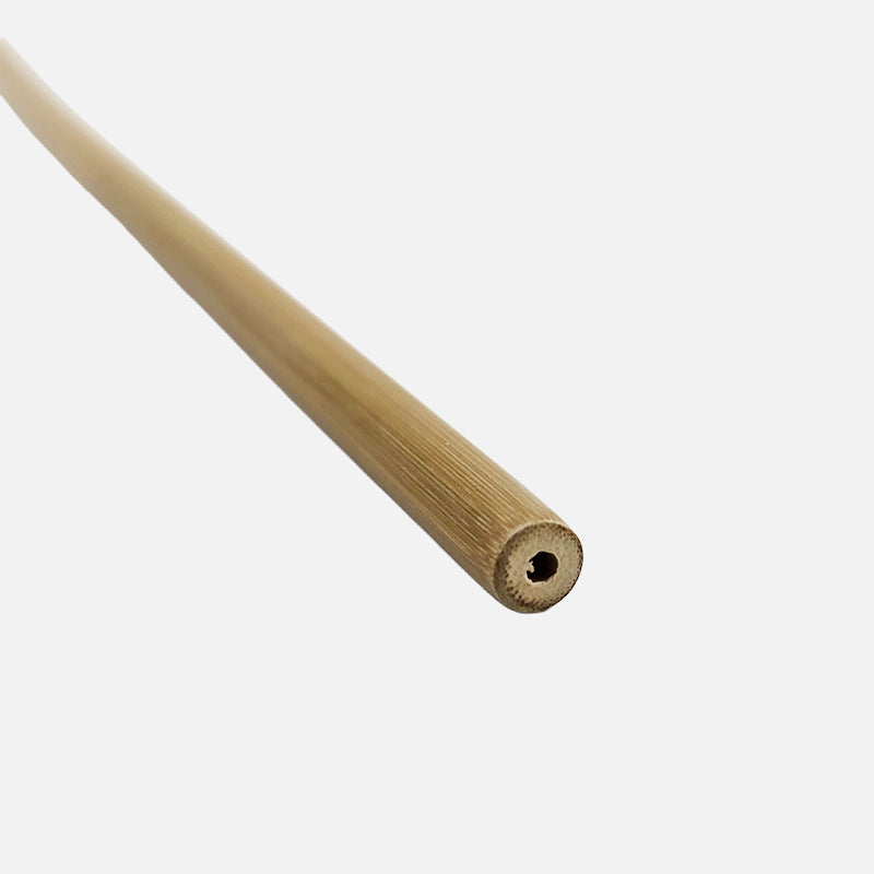 Simple Bamboo Cane 60cm