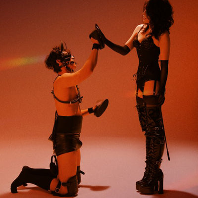 Stallion Pony Play Set Pet Play Two people in black leather outfits against a warm-toned background with a rainbow.