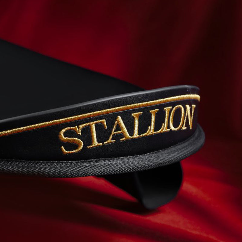 Pre-Order Luxury Stallion Pony Play Set