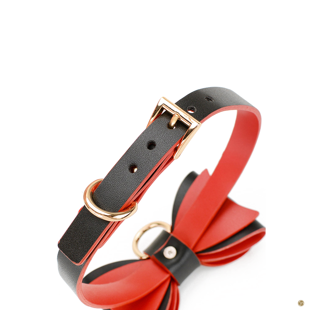 Dicky Bow Collar with Leash