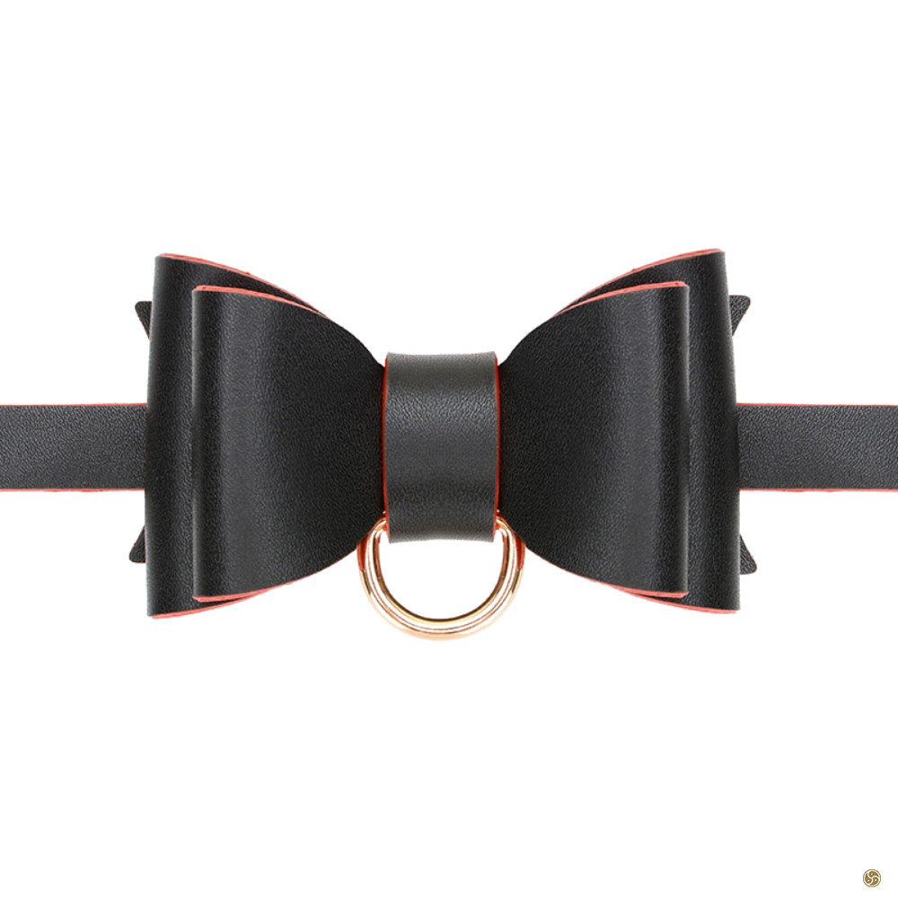 Dicky Bow Collar with Leash