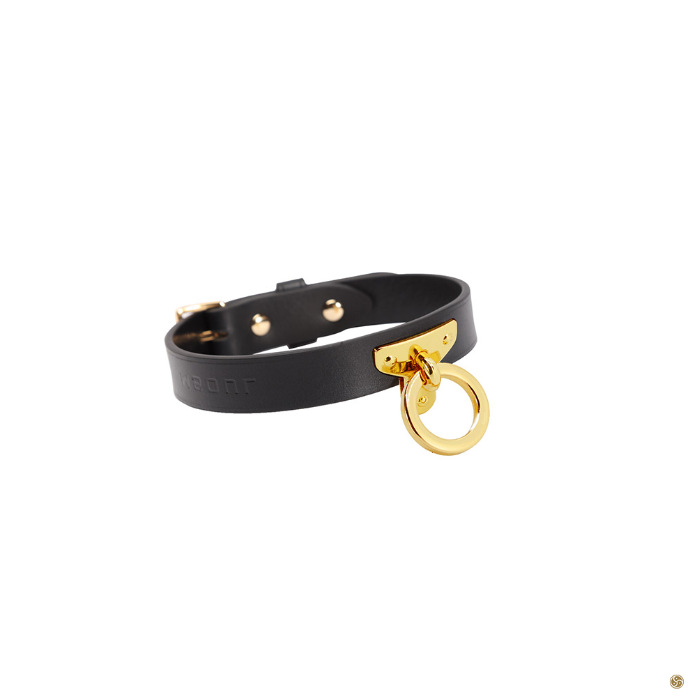 BDSM Golden O-Ring Leather Collar with Leash