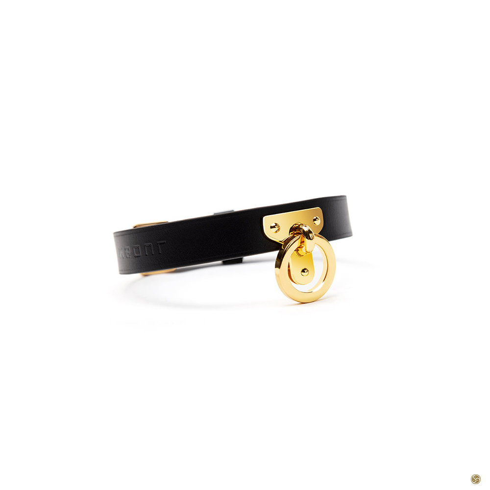 BDSM Golden O Ring Leather Collar With Leash OZGAGA bdsm-golden-o-ring-leather-collar-with-leash-ozgaga